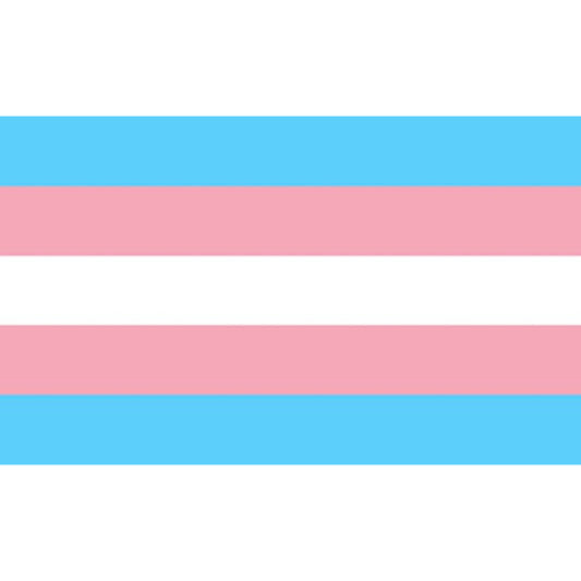 PRIDE - TRANSEXUAL FLAG 90 X 150