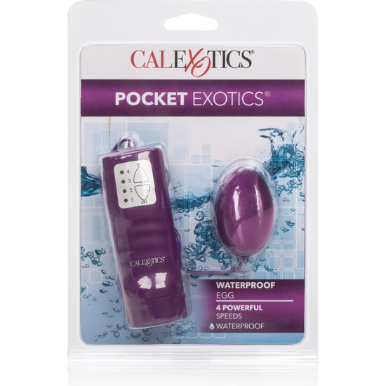 CALIFORNIA EXOTICS - POCKET EXOTICS WATERPROOF EGG PURPLE 4V